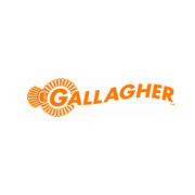 Rapid Software Integration - gallagher